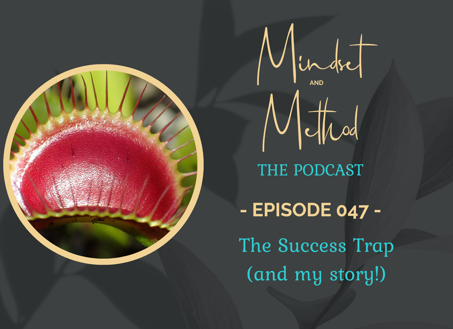 Podcast 047 - The Success Trap (and my story!)